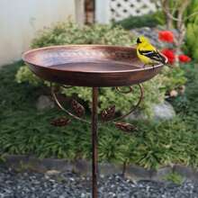 1 Piece European Cast Iron Retro Courtyard Bird Bathing Feeder Villa Garden Rust Anti-Oil Outdoor Decoration Dual-Purpose Wild Bird Perch Observatory Festival Wedding Theme Decoration Bird Watching Enthusiast Practical Gift