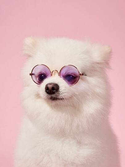 PETSIN 1pc Hip-Hop Pet Sunglasses Funny Style For Cats & Dogs, Fashion Pet Accessories In Stock