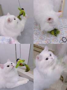 1 件/2 件/3 件猫玩具 - 逼真的鸣叫小鸟，自娱自乐，缓解无聊，互动猫玩具悬挂吱吱作响的仿真鸟毛绒猫宠物逗弄玩具，带有人造羽毛的小猫鸣叫鸟玩具，羽毛的颜色和长度之间存在差异， - 彩色 - 查看 10