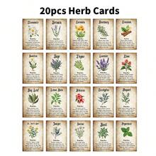 20 张女巫草药魔法卡 - 植物启蒙神谕卡、女巫草药卡、绿色女巫魔法、药剂师日志参考、巫术用品（3.54 * 2.36 英寸）