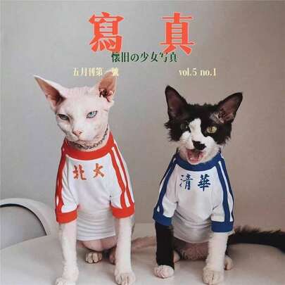 Lightweight Hairless Cat Clothes, Sphynx Cat Clothes, Vintage Pure Cotton Tee Shirt For Spring & Summer