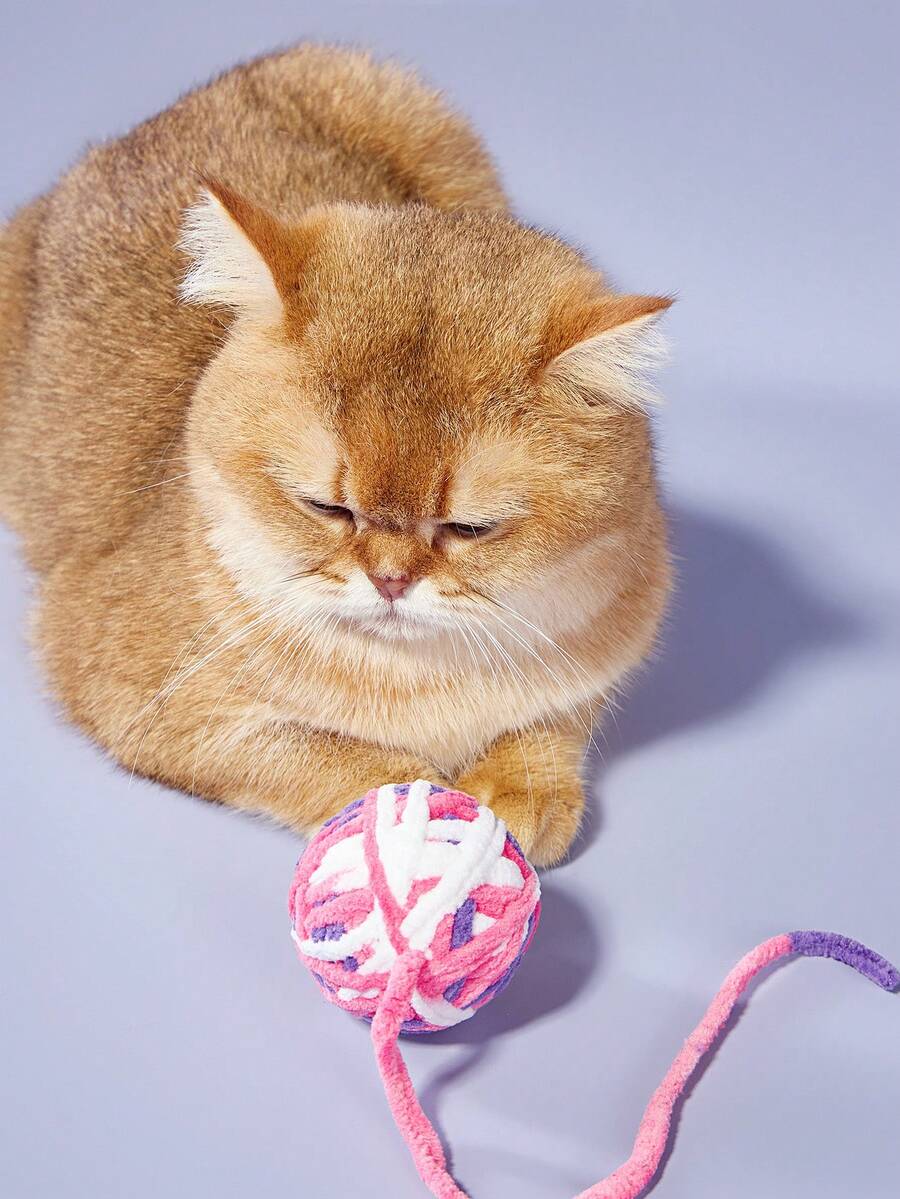 PETSIN 1 件加猫逗猫球多色猫毛绒球和纱线柔软互动猫玩具适合室内猫自玩,猫用品(随机颜色)圣诞节节日礼物 - 彩色 - 查看 1