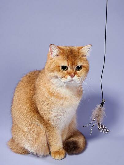 PETSIN 1支人造珍珠貓毛互動貓玩具棒