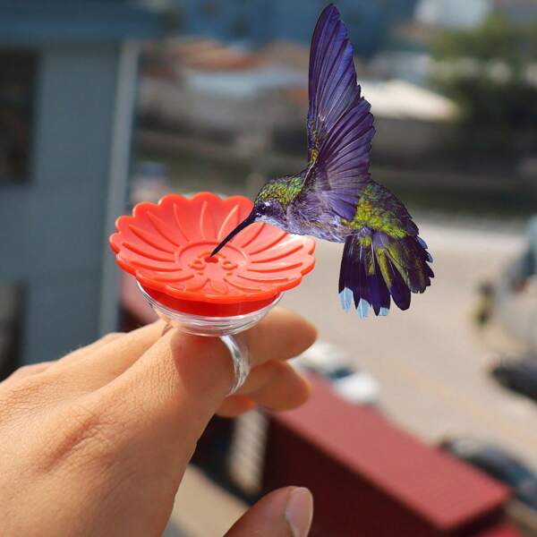 New Creative Hummingbird Feeder Ring, Wear On Hand To Observe Closely At Short Distance
