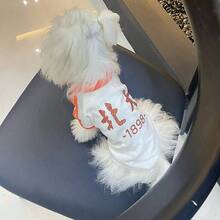 春夏轻薄无毛猫服装，复古斯芬克斯猫T恤 - 橘色 - 查看 8