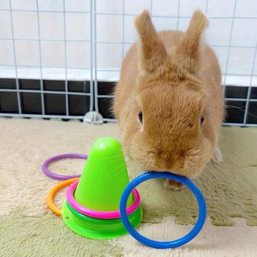 6pcs Rabbit Boredom Stump Toys, Small Pet Circle Toy, Puzzle Toy For Rabbits & Hamsters, Ice Cream Bucket Small Animal Toy - Multicolor - View 1