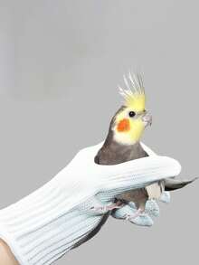 Kit de Treinamento para Pássaros, Combinando Habilidades e Diversão, Inclui: Luvas de Aço Anti-Mordida para Papagaios, Apito de Treinamento para Pássaros (Aço Inoxidável), Dispositivo Ultrassônico de Treinamento (Para Melhorar a Comunicação e o Comportamento), Alimentador Metálico para Petiscos de Papagaio (1 unidade) - Multicolorido - Ver 4