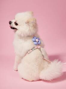 PETSIN 可爱花朵形猫背带带牵引绳，舒适、轻便、防逃跑宠物牵引套装 - 彩色 - 查看 1