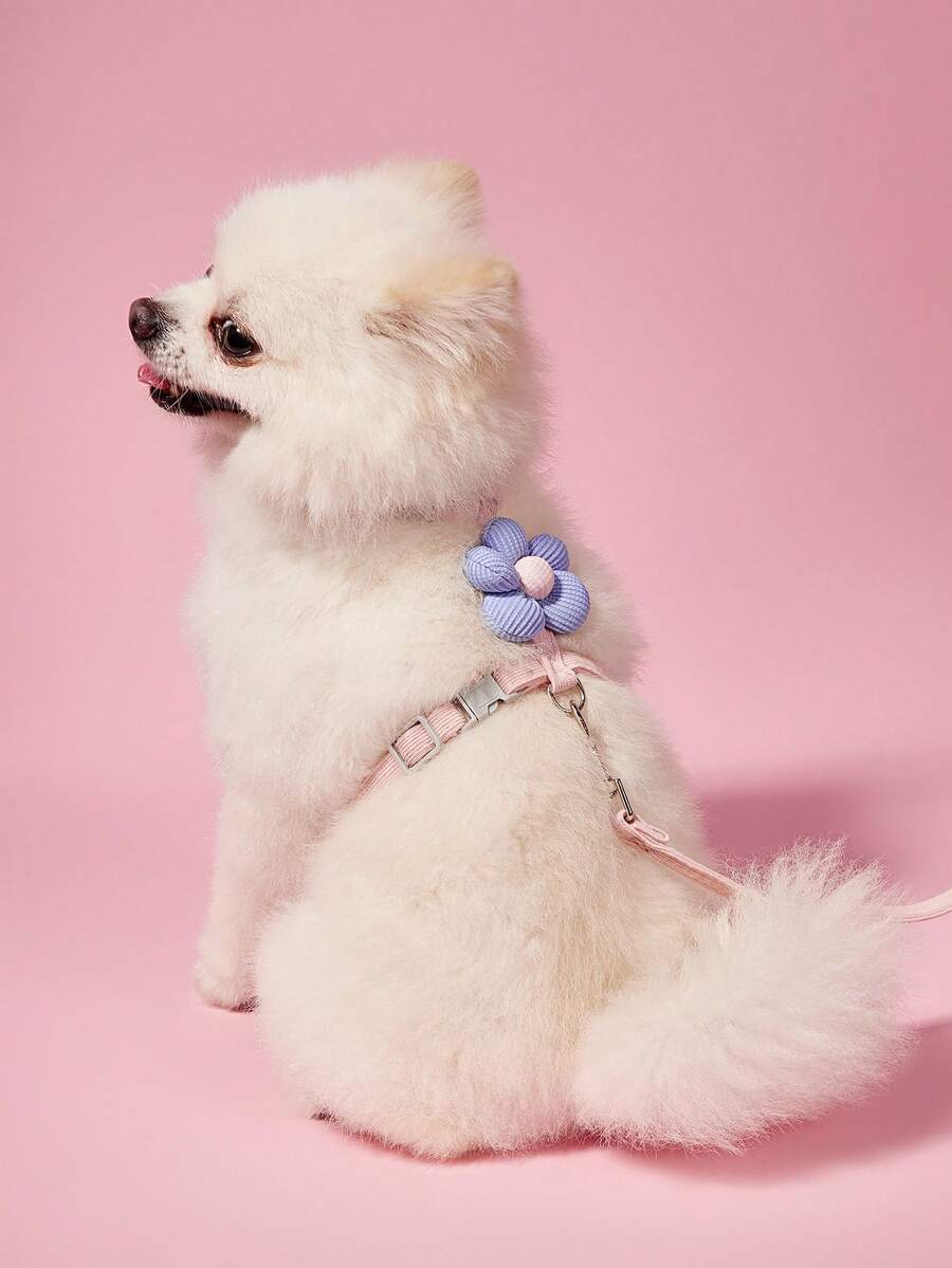 PETSIN 可爱花朵形猫背带带牵引绳，舒适、轻便、防逃跑宠物牵引套装 - 彩色 - 查看 1