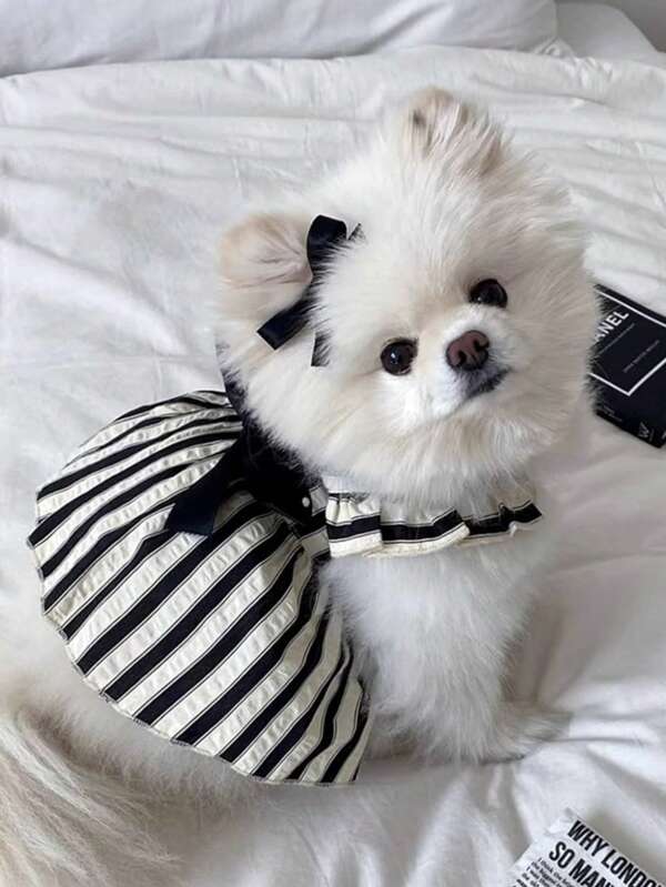 1 Stück Hunde Haustier Prinzessin Großer Schleife Gestreiftes Kleid, Frühling/Sommer Welpen Katzen Haustier Kleidung