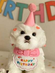 PETSIN 2 件套宠物猫狗生日服装，涤纶制成，卡通可爱配饰，适合生日、派对、节日庆祝 - 彩色 - 查看 7