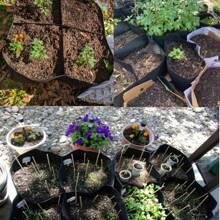 4/8 rejillas Bolsas de cultivo de vegetales: diseño de divididor de espacio grande, material de fieltro no tejido, duradero, adecuado para jardín, balcón, azotea, patio, patio trasero, bolsas para vegetales y frutas