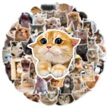 50pcs Realistic Cute Kitten Expression Sticker Set, Creative Decor For Water Bottles, Notebooks, Waterproof & Non Repeating PVC Stickers,School Supplies,Back To School - Multicolor - View 3