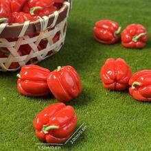 50 件/30 件/20 件/10 件/5 件迷你逼真蔬菜雕像，创意微型蔬菜，可用于娃娃屋装饰、微景观、微型超市道具、玩具食品道具、摄影道具 - 彩色 - 查看 12