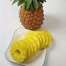 1pc Stainless Steel Pineapple Peeler Corer Slicer Cutter - Easy Core Removal, Slice & Dice Tool For Fresh Pineapple (Random Color & Style)