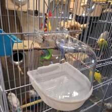 1 pezzo Bagnetto per uccelli trasparente, bagnetto per pappagalli, sospeso per gabbia degli uccelli, accessori per animali domestici, regalo di Natale