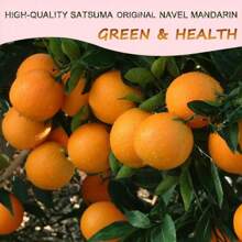 Artificial Dried Orange Slices, Suitable For Making Candles, Crafts, Decoration, Aromatherapy DIY, Handmade Soap, Event Decor, Cocktails Garnish , Home Decor For Living Room, Bedroom, Office,Halloween Decor