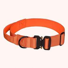 CP407 可调节战术狗项圈，适用于中大型犬 - 耐用尼龙，配有金属扣、D 形环和控制手柄 - 鲜艳的色彩，防爆，适合训练和散步 - 适合狗主人 - 非常适合户外活动和训练