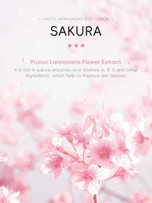 1 件保湿 LAIKOU 日本樱花身体乳，200g 提拉紧致身体霜深层滋养身体黄油适合女性所有肤质适合水疗自我护理礼物送给女朋友身体护理