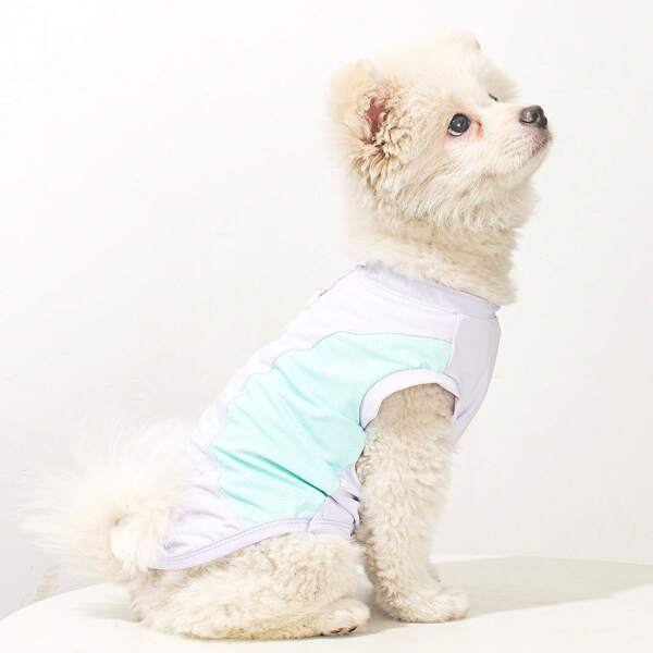 Vêtements pour animaux de compagnie Chemise à double jambe respirante et séchage rapide pour prévenir la perte de poils chez les chiens, Harnais de style d'été bicolore T-shirt pour chats