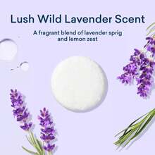 Blueland Wild Lavender Toilet Bowl Cleaning Tablets - 10ct - 1 - View 5