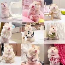 Cute Hamster Dress Clothes, Suitable For Spring And Summer Pet Clothes, Small Hamsters Dress Up, Lovely Gift For Pets Such As Hamsters, Guinea Pigs, Chinchillas,Suitable For 4in To 8in