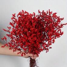 Un buchet de flori uscate și conservate din iarbă cristalină, potrivite pentru aranjamente florale acasă, decor pentru locația nunții, buchetul miresei, accente pentru dormitor și sufragerie - Multicolor - Vizualizare 6