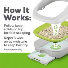 Purina Tidy Cats Litter Pellets, recarga de pellets de arena en caja reciclable - (4) 7 LB. Bolsas - Pellets originales - Ver 11