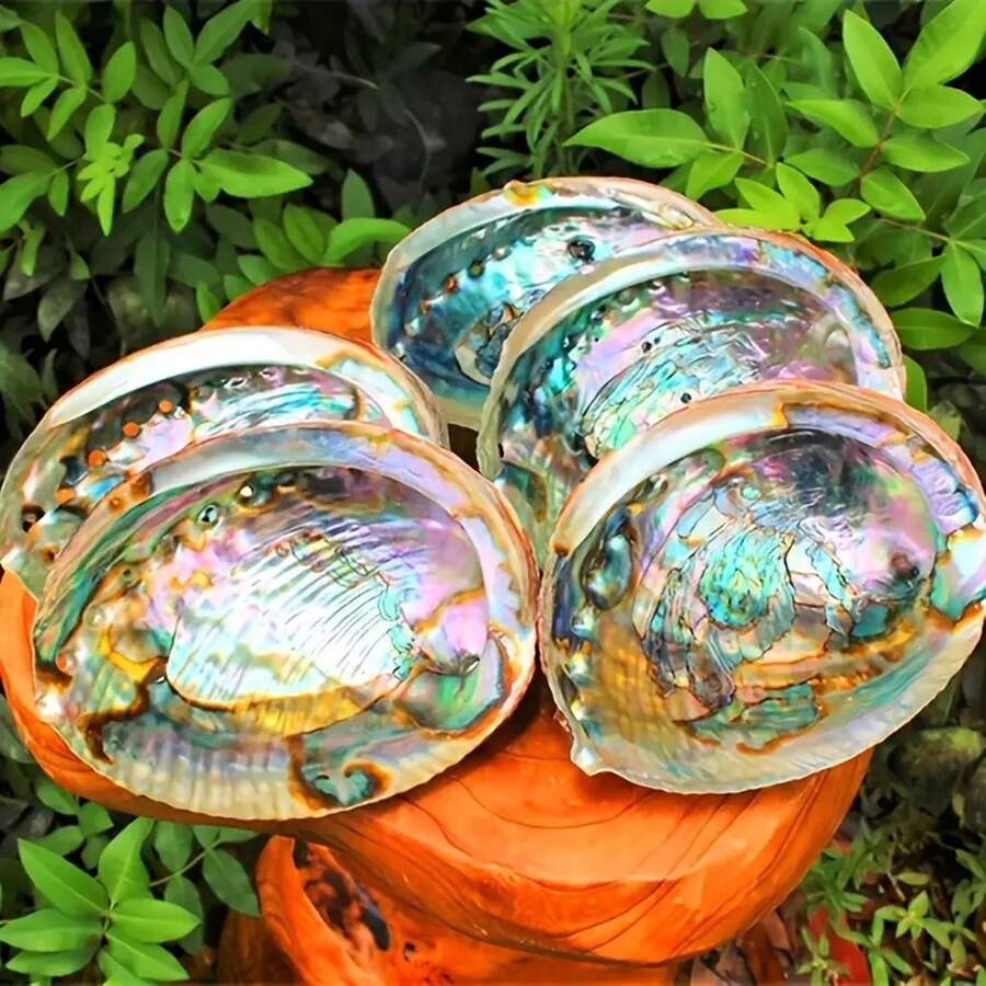 Hochwertige natürliche Abalonen-Muschel, geeignet für Aromatherapie, Haushaltsreinigung und Meditation - blau-grüne Töne, verwendbar für Räucherstäbchenhalter und dekorative Handwerkskunst, die Muscheln können zum Teekochen, zur Heimdekoration, für Innenraumdekoration, Yoga-Studios, Camping, Gärten, Terrassen und Abendessen verwendet werden und können mit klassischen Kerzendekorationen kombiniert werden. - Verschiedenfarbig - Übersicht 1