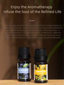 10ml 水果精油套装（菠萝、草莓、蜂蜜、芒果、西瓜、巧克力）芳香疗法，提升情绪，适用于扩散器、蜡融、家居香氛 - 水果花香香型 - 查看 9