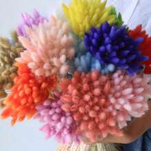 1 buchet de flori uscate din iarbă Lagurus conservată, poate fi folosit pentru aranjamente florale pentru dormitor, living, decor pentru locația nunții, buchete de mireasă, decor de toamnă, toamnă - Roz - Vizualizare 2