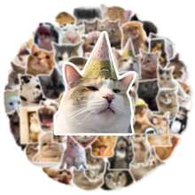 50pcs Realistic Cute Kitten Expression Sticker Set, Creative Decor For Water Bottles, Notebooks, Waterproof & Non Repeating PVC Stickers,School Supplies,Back To School - Multicolor - View 6