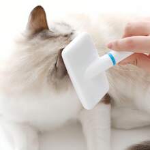 1 pièce Brosse pour chiens avec manche blanc, brosse de toilettage classique best-seller détachant et massante