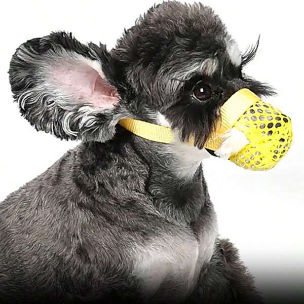 New Dog Muzzle, Allows Drinking, Prevents Biting, Barking, Accidental Ingestion, Suitable For Small Dogs Outdoor Use, Pet Muzzle