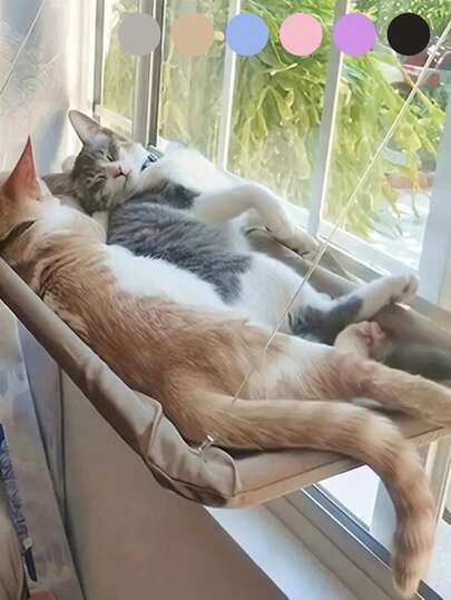 Hamaca para gatos con ventosas, nido colgante para tomar el sol. Ideal para ventanas, superficies de vidrio, balcones, imprescindible para gatos. Es una cama colgante para gatos, una cama para mascotas junto a la ventana, adecuada para gatos y perros pequeños. Con un dispositivo de fijación en el asiento junto a la ventana y una capacidad de carga de 5 kg. Es un accesorio para mascotas.