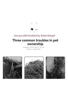 1 件装长方形宠物碗，不锈钢盒，塑料材质，适用于食草动物、家禽、牲畜、宠物，宠物喂食碗，宠物友好之选，多种颜色可选