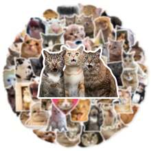 50pcs Realistic Cute Kitten Expression Sticker Set, Creative Decor For Water Bottles, Notebooks, Waterproof & Non Repeating PVC Stickers,School Supplies,Back To School - Multicolor - View 4