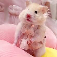 Cute Hamster Dress Clothes, Suitable For Spring And Summer Pet Clothes, Small Hamsters Dress Up, Lovely Gift For Pets Such As Hamsters, Guinea Pigs, Chinchillas,Suitable For 4in To 8in