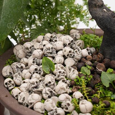 20pcs Mini Skulls, Small Skeleton Head Flowerpot Decor Realistic Skull Crafts Halloween Garden Decoration Bonsai Courtyard Ornaments Home Decor Halloween Decor Fall Decor Room Decor