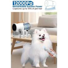 AIRROBO PG100 Pet Grooming Vacuum With 5 Grooming Tools For Dog Cat Hair 12000Pa - as pic - View 3