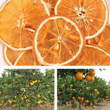 Artificial Dried Orange Slices, Suitable For Making Candles, Crafts, Decoration, Aromatherapy DIY, Handmade Soap, Event Decor, Cocktails Garnish , Home Decor For Living Room, Bedroom, Office,Halloween Decor