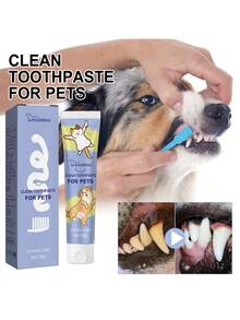 100克宠物牙膏 - 去除牙垢和污渍，美白牙齿，为宠物提供口腔护理