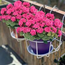 1/2/4 peças Flores Artificiais de Gerânio para Decoração de Verão ao Ar Livre, Flores de Gerânio Falsas Resistentes UV Flores de Seda Falsas para Jardineiras Domésticas, Mesas, Pátios, Varandas, Interiores, Decoração de Casamento