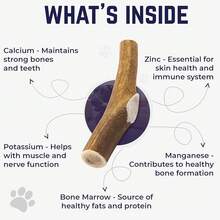 Devil Dog Pet Co. Elk Antlers Dogs, Medium 5+, 1 Pack, Grade A Long Lasting Chew Aggressive Chewers, Premium USA Naturally Shed Antler – Healthy, No Odor, Durable Dog Chew - 全套 - 加大尺寸 - 1 包 - 查看 5