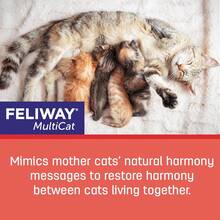 FELIWAY ®   MultiCat 3 X 30 Day Calming Refills Pheromone Diffuser, 3 X 48ml Value Pack- Helps Reduce Conflicts And Signs Of Tension In Multi-Households - 1 Gói - Xem 4
