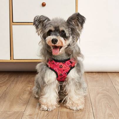 1 pezzo Imbracatura per animali domestici con stampa a motivo osseo, leggera e traspirante, adatta per cani e gatti di piccola/media taglia, per uso all'aperto