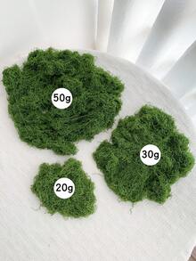 120g/50g/30g/10g Artificial Green Moss, Suitable For Indoor Potted Plants, Can Be Hung Indoors And Outdoors, Garden, Porch, Windowsill, Planter, Home Wedding, Farmhouse, Patio, Window - Multicolor - View 6