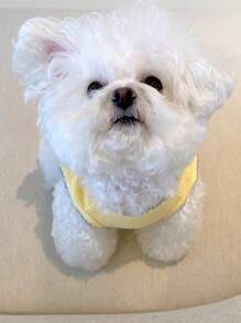 Cute Sweet Macaron Pet Vest For Small/Medium Dogs Cats, Lightweight Spring/Summer Clothes For Teddy/Poodle