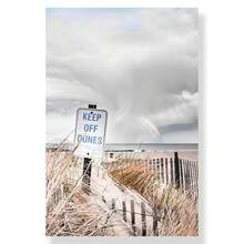 1 件可选框架波西米亚鼠尾草绿色植物海报抽象艺术品几何墙面艺术帆布画北欧艺术海报客厅家居装饰 - 彩色 - 查看 64