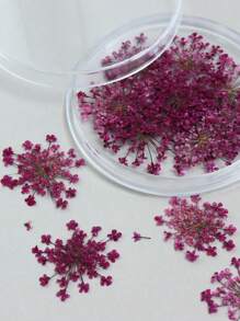 10 fleurs/boîte Remplisseurs de fleurs séchées - Fournitures de moule en résine époxy colorée pour la fabrication de bijoux DIY, les projets de décoration artisanale, les fournitures d'artisanat | Décoration thème été
